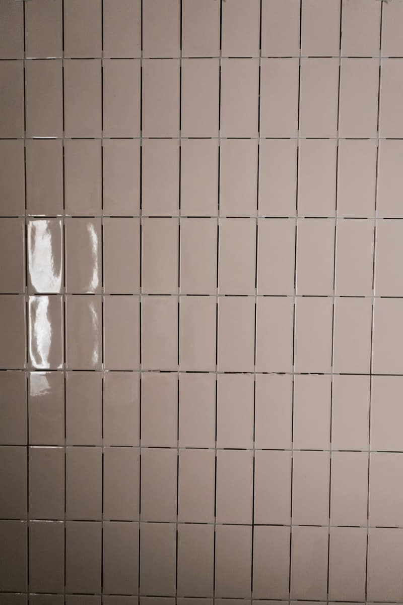 Flavius — Werfleider